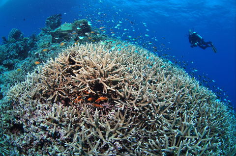 Lodestone Reef - Accommodation 4U 1