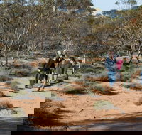 Mallee Stop walking track - Accommodation 4U