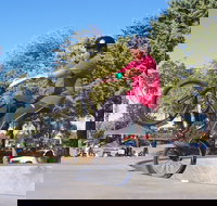 Millicent Skatepark - Accommodation 4U