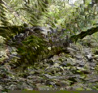 Mitchell River Walking Track - Accommodation 4U