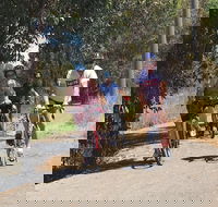 Mokoan Discovery Trail - Accommodation 4U