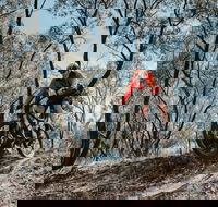 Mountain Bike Trails Deniliquin - Accommodation 4U