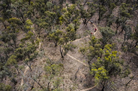 Mountain Bike Trails Deniliquin - Accommodation 4U 1