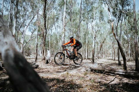Mountain Bike Trails Deniliquin - Accommodation 4U 2