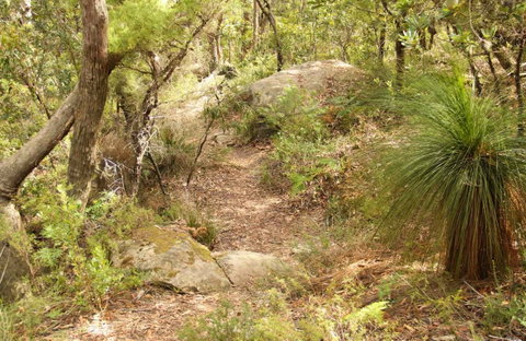 Mount Carnarvon Walking Track - Accommodation 4U 0
