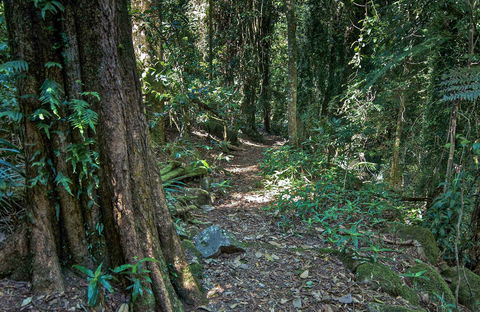 Pholis Gap Walking Track - Accommodation 4U 0