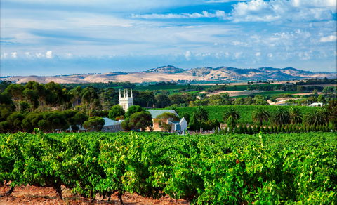 Seppeltsfield Road Barossa Valley - Accommodation 4U 1