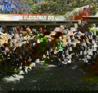 Skirmish Ulladulla - Accommodation 4U