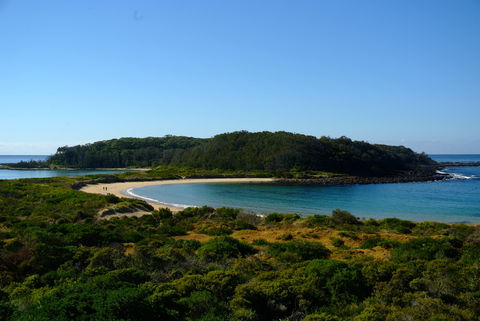 Snorkelling Broulee Island - Accommodation 4U 0
