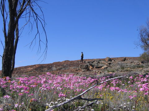 Talgomine Reserve - Accommodation 4U 0
