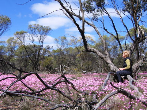 Talgomine Reserve - Accommodation 4U 1