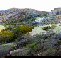 The Bellbird - Accommodation 4U