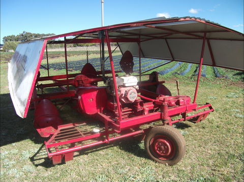 The Super Strawberry - Accommodation 4U 2