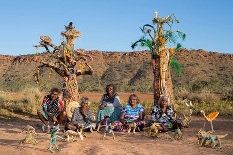 Tjanpi Desert Weavers - Accommodation 4U 0