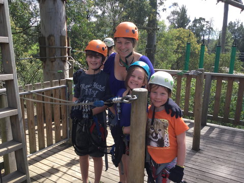 Trees Adventure - Glen Harrow Park - Accommodation 4U 1