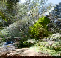 Wadbilliga Road drive - Accommodation 4U