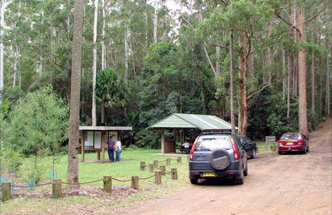 Wallingat Forest Drive - Accommodation 4U 0
