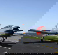 Warrior Warbirds - Open - Accommodation 4U