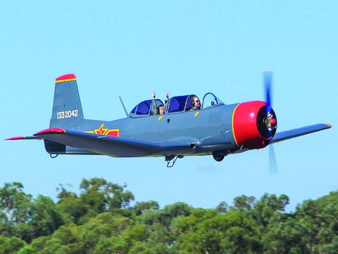 Warrior Warbirds - Open - Accommodation 4U 1