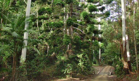 Way Way Creek Road Drive - Accommodation 4U 0