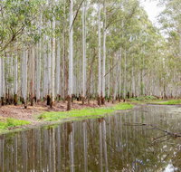 Wonga Wetlands - Accommodation 4U
