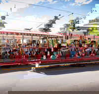 Bendigo Tramways Vintage Talking Tram