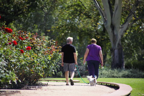 Benalla Botanical Gardens - Accommodation 4U 1