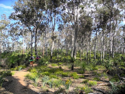 Bibbulmun Track - Accommodation 4U 1