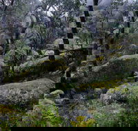 Cathedral Rock Track - Accommodation 4U