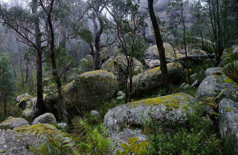 Cathedral Rock Track - Accommodation 4U 0