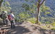 Caves Circuit, Lamington National Park - thumb 0