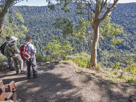 Caves Circuit, Lamington National Park - Accommodation 4U 0