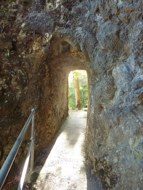 Caves Circuit, Lamington National Park - Accommodation 4U 1