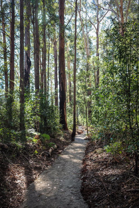 Coopernook Forest HQ - Accommodation 4U 1