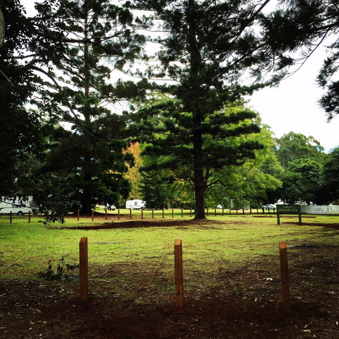 Coopernook Forest HQ - Accommodation 4U 2