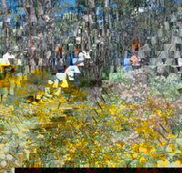 Gidgegannup - Accommodation 4U