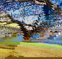 Grafton 'Bendy' Bridge