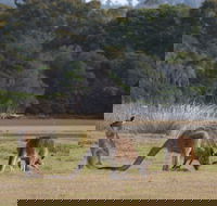 Great Nature Trail - Accommodation 4U
