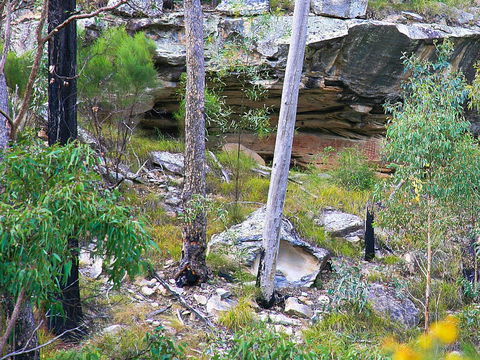 Ka Ka Mundi, Carnarvon National Park - Accommodation 4U 1