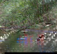 Kerewong State Forest - Accommodation 4U