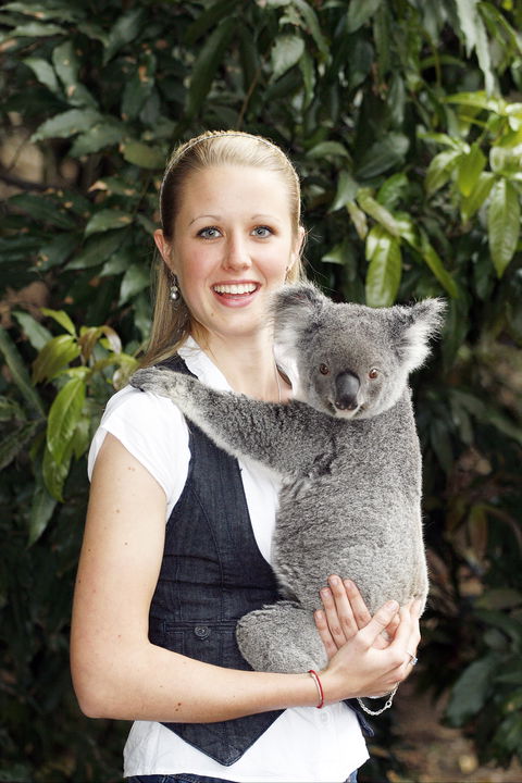 Lone Pine Koala Sanctuary - Accommodation 4U 1