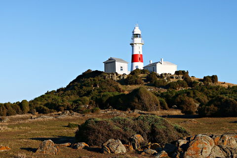 Low Head Foghorn - Accommodation 4U 1