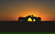 Outback Pony Rides Farm Experience - thumb 0