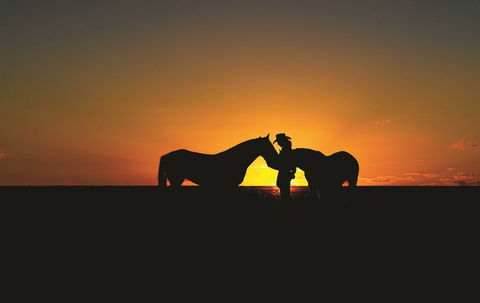 Outback Pony Rides Farm Experience - Accommodation 4U 0
