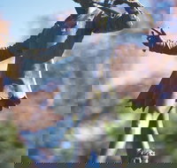 Queens Gardens - Accommodation 4U