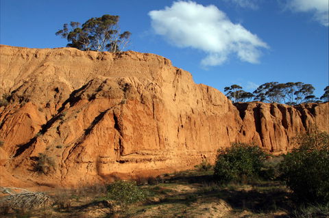 Red Banks Conservation Park - Accommodation 4U 0