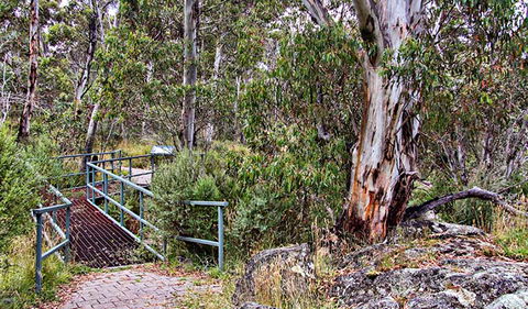 Sawpit Walking Track - Accommodation 4U 0