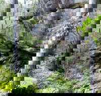 She-Oak Crossing Walk - Accommodation 4U