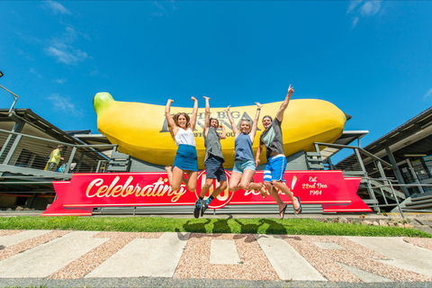 The Big Banana Fun Park - Accommodation 4U 0