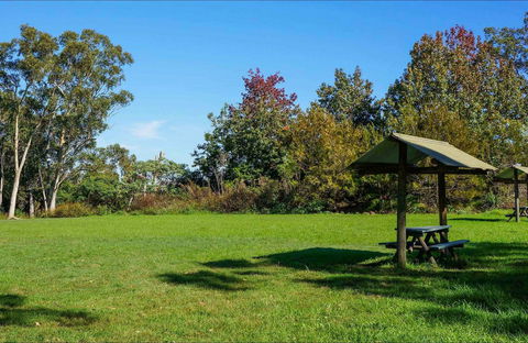 Tunks Hill Picnic Area - Accommodation 4U 0